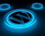 Blog DGDEV 3W - Astuces et Conseils WordPress | Agence Freelance Web 8 Wordpress cms